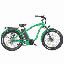 Green Color Fat Tire Rear Drive Electric Bike